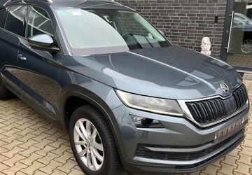 Skoda Kodiaq 195.000 km 16.065 &euro; Neuenhaus 49828