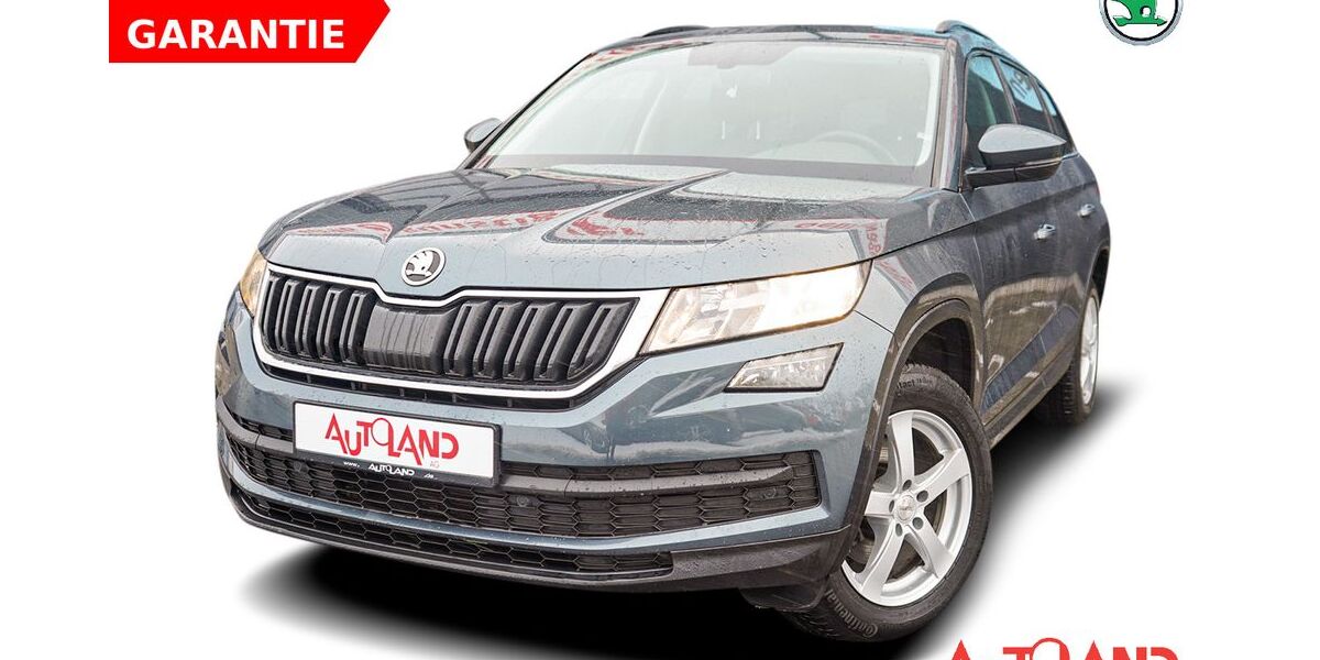 Skoda Kodiaq 110.061 km 17.990 &euro; Wietmarschen 49835