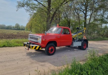 Dodge Andere 15.000 km 15.730 &euro; Isterberg 48465