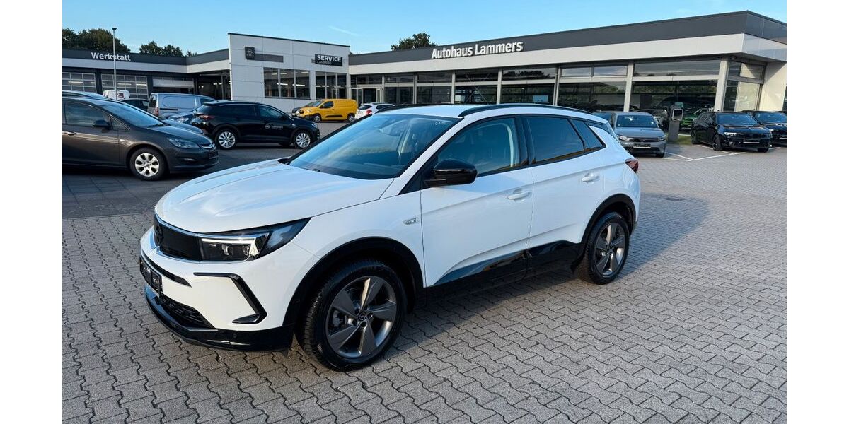 Opel Grandland (X) 3.381 km 24.990 &euro; Wietmarschen / Lohne 49835