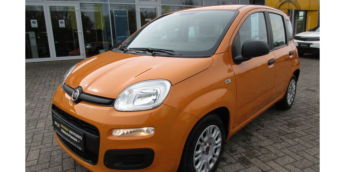 Fiat Panda 18.200 km 10.450 &euro; Lingen - Baccum 49811