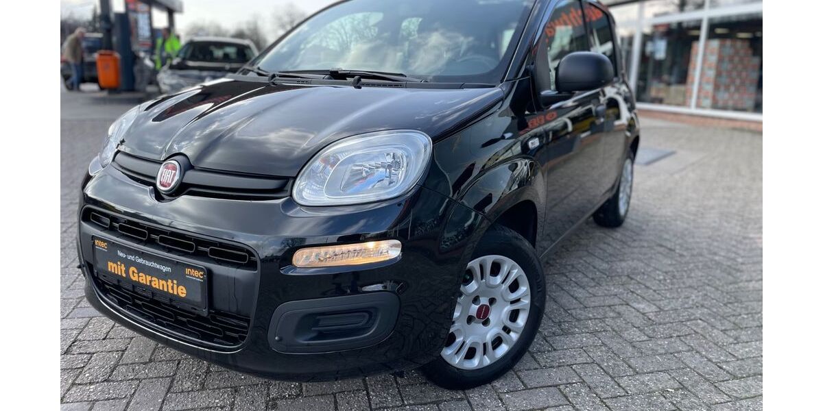 Fiat Panda 82.500 km 7.900 &euro; Geeste-Dalum 49744